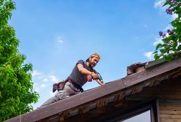Best Roof Restoration  in Christiana, TN